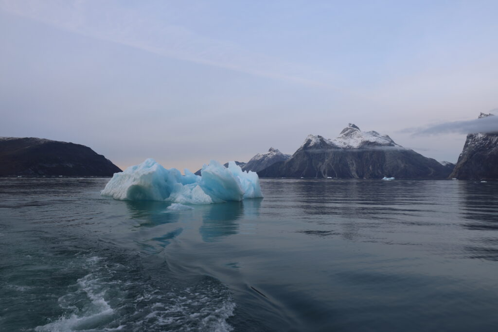 La start-up Arctic Ice raccoglie il ghiaccio dai fiordi della Groenlandia