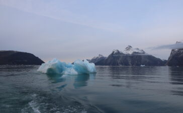 La start-up Arctic Ice raccoglie il ghiaccio dai fiordi della Groenlandia
