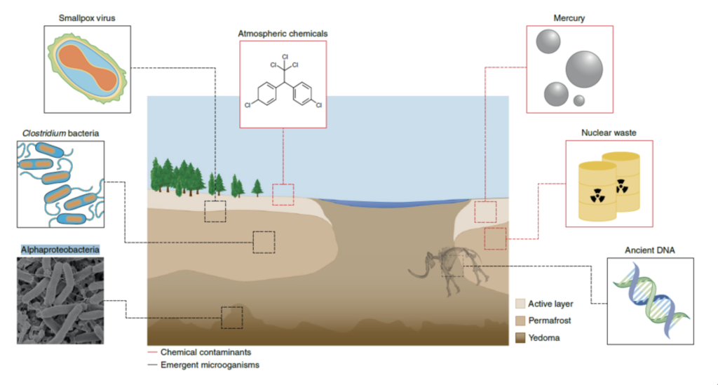 permafrost