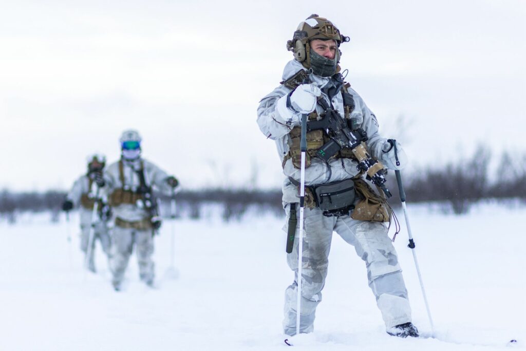 usa artico militari
