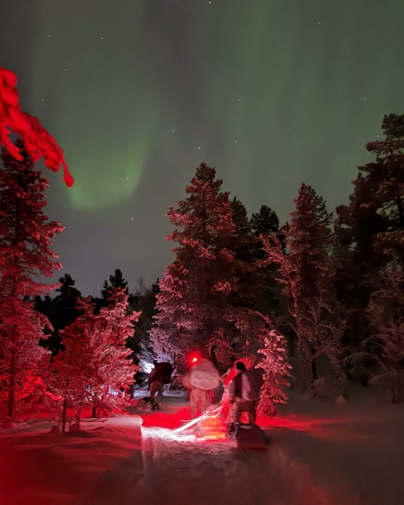 esercito norvegia