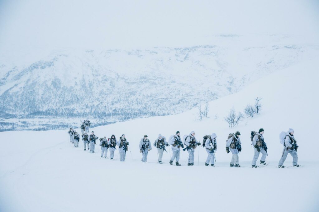 nato artico