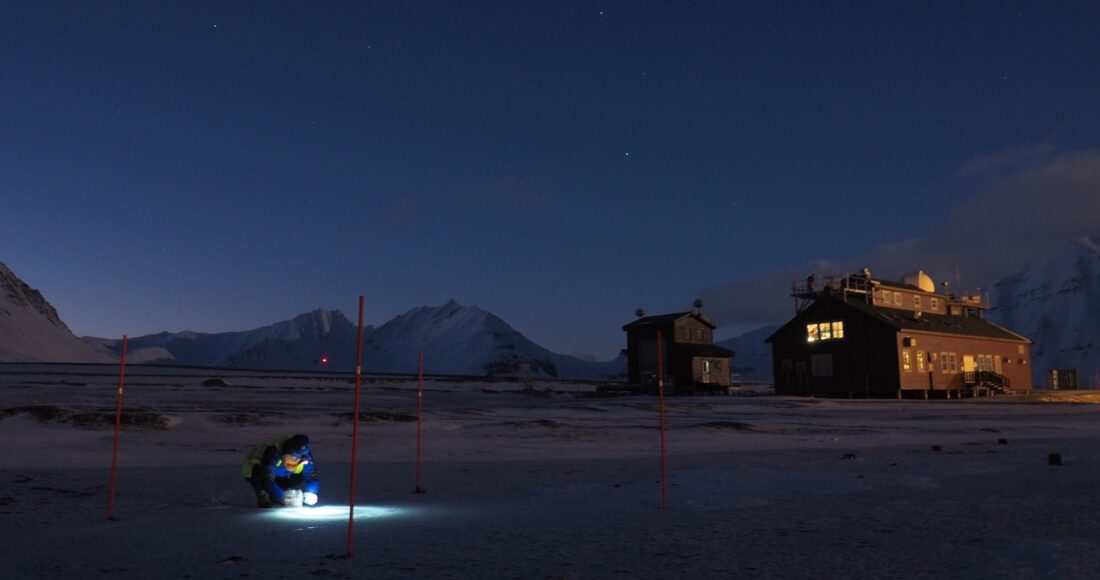 ricerca scientifica svalbard