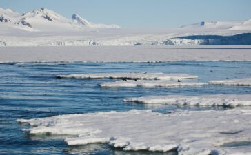 mar glaciale artico