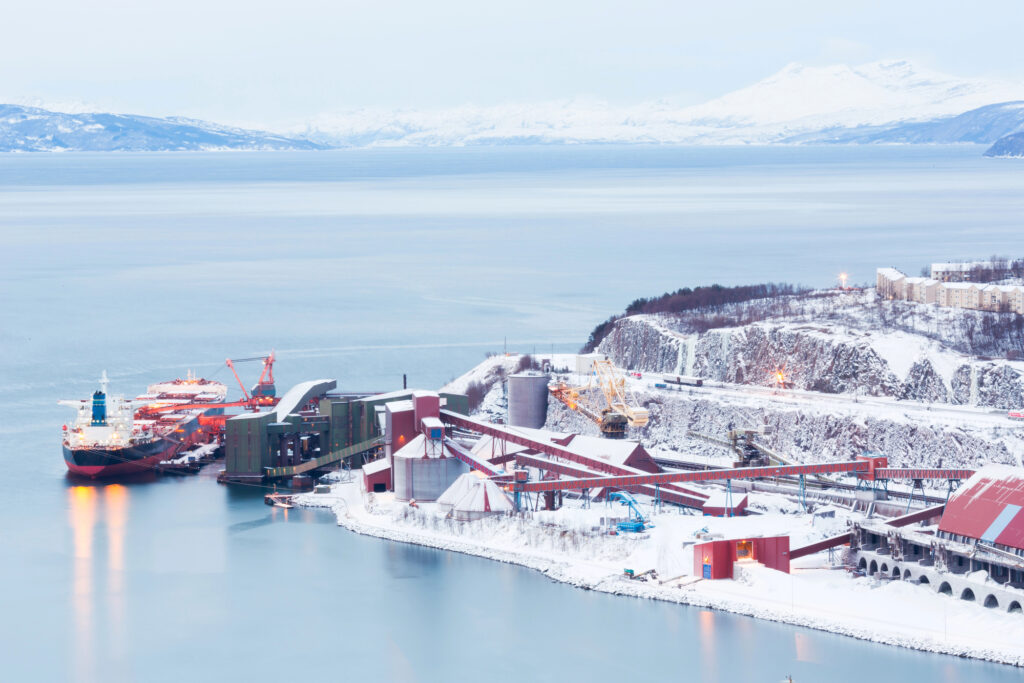 norvegia raee