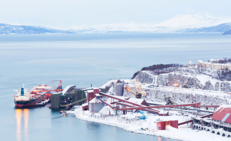 norvegia raee