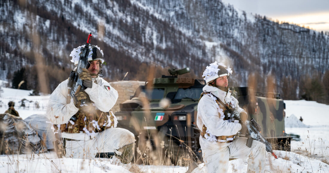 volpe bianca esercito italiano