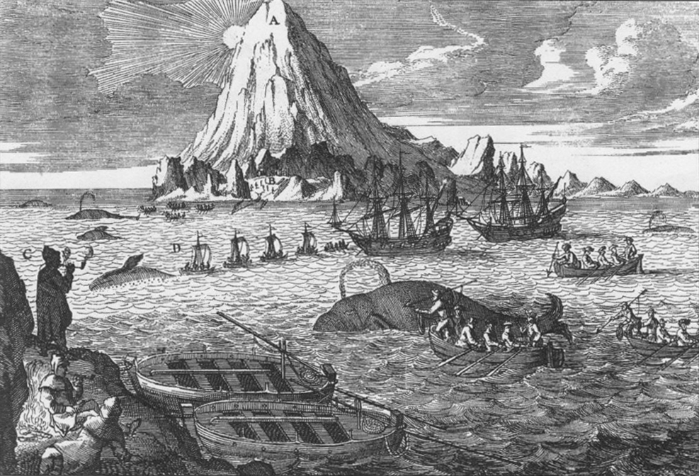 Jan Mayen whale hunt