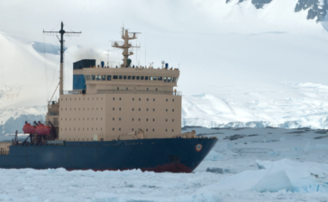 arctic rush