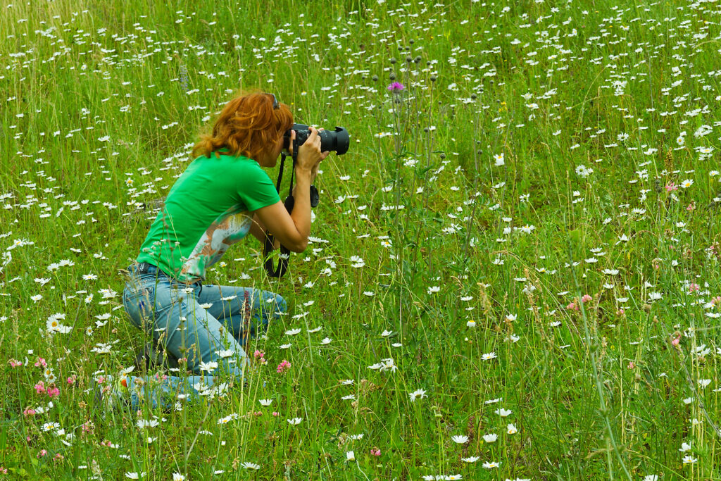 city nature challenge 2024