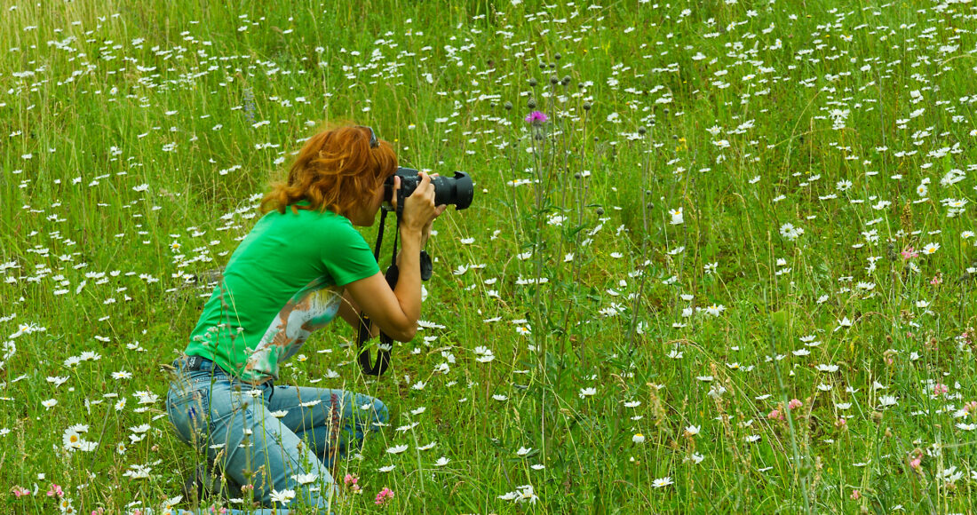 city nature challenge 2024