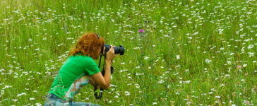 city nature challenge 2024