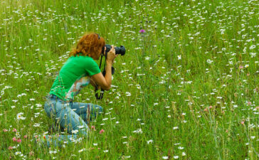 city nature challenge 2024