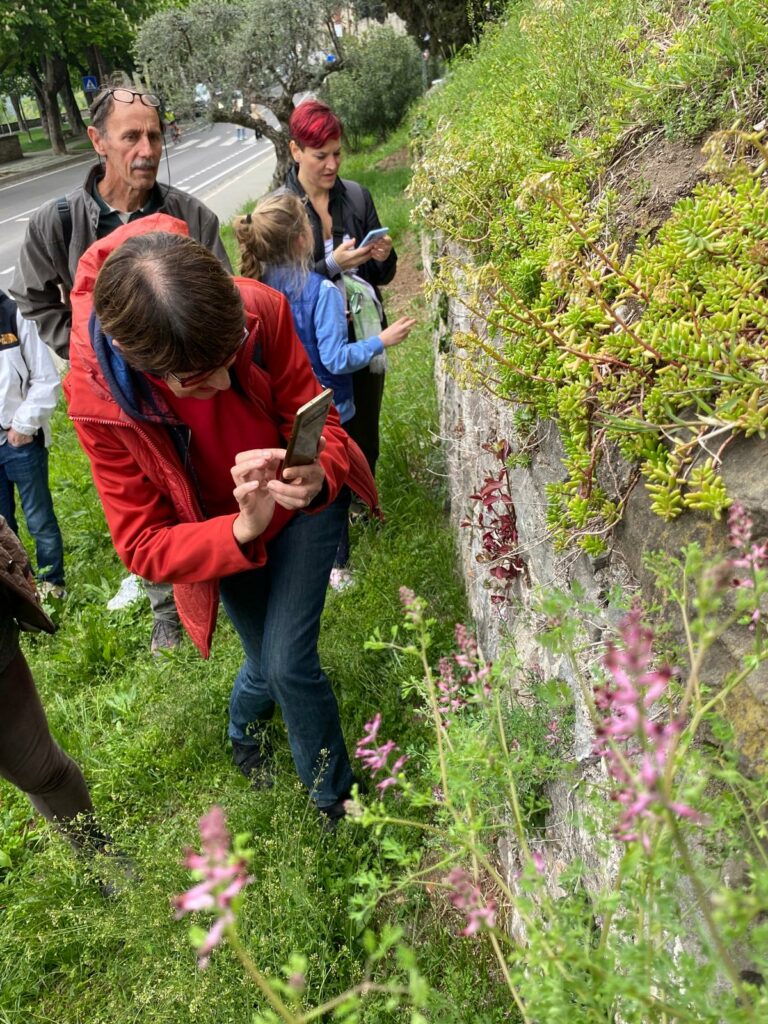 city nature challenge