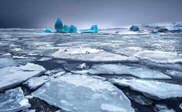 Glacial lake with icebergs