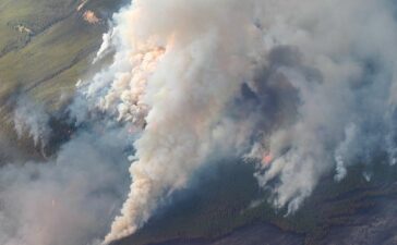 incendi artico