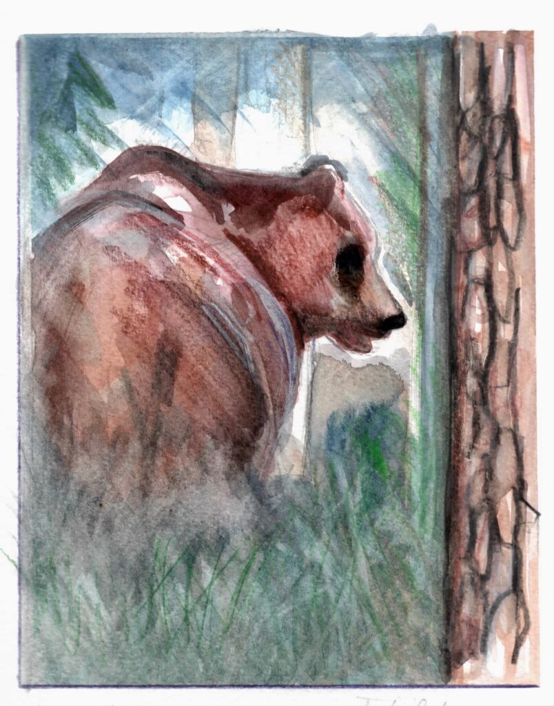 orso fabrizio carbone