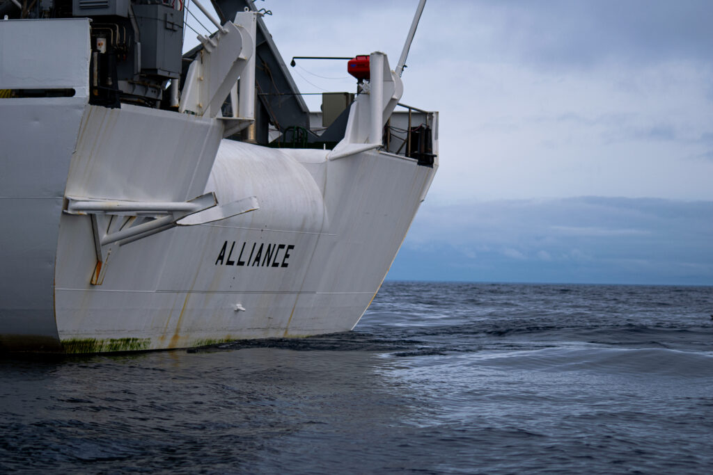 alliance high north