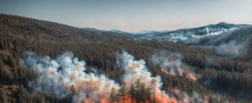 artico fiamme fumo