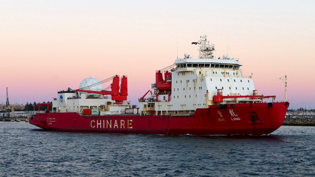 chinare svalbard norvegia