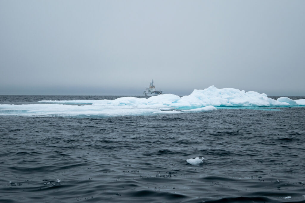 nave alliance