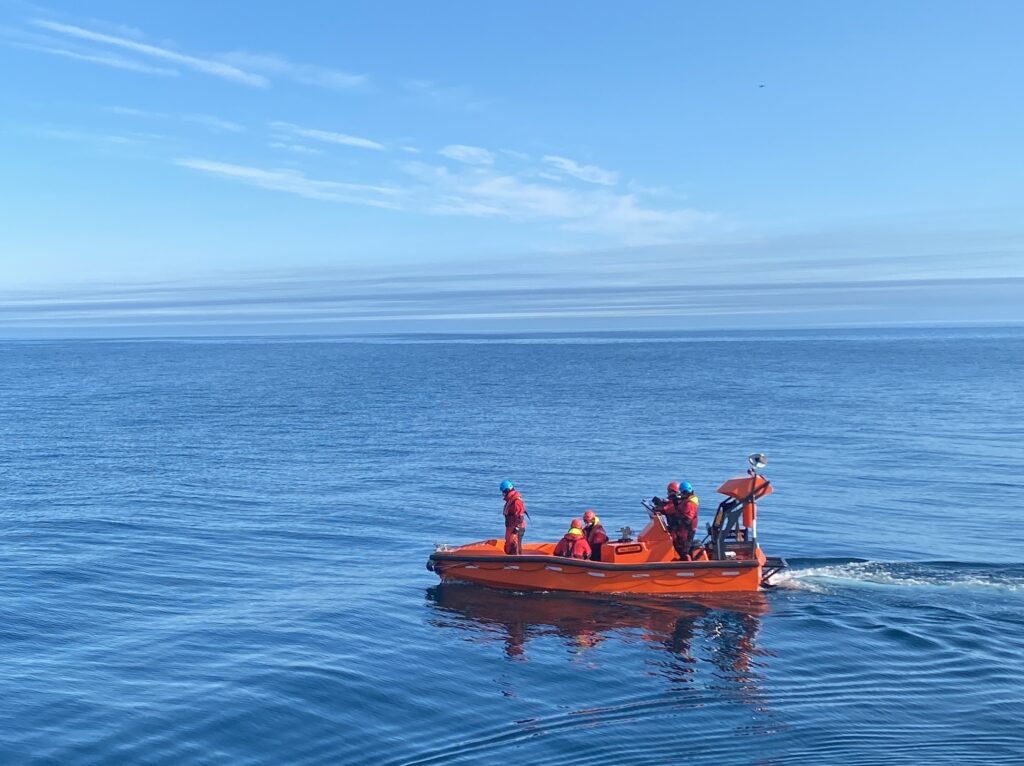rhib gommone