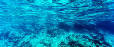 deep sea mining