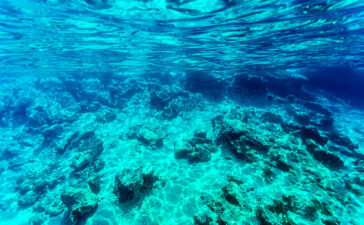 deep sea mining