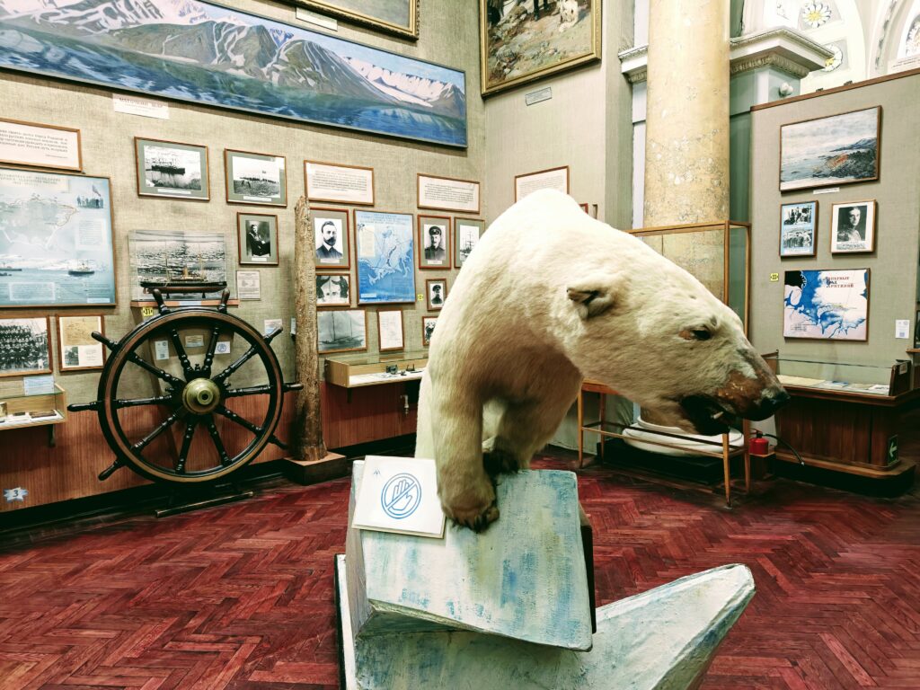 museo dell'artico