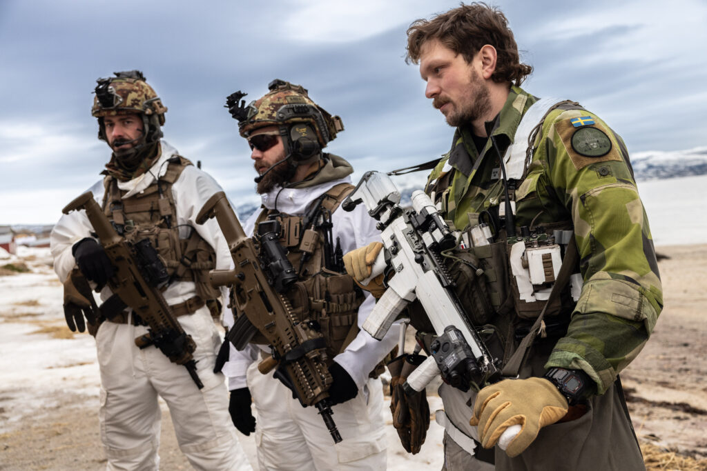 nato finlandia