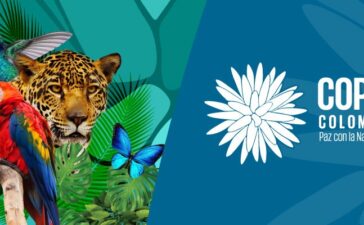cop16