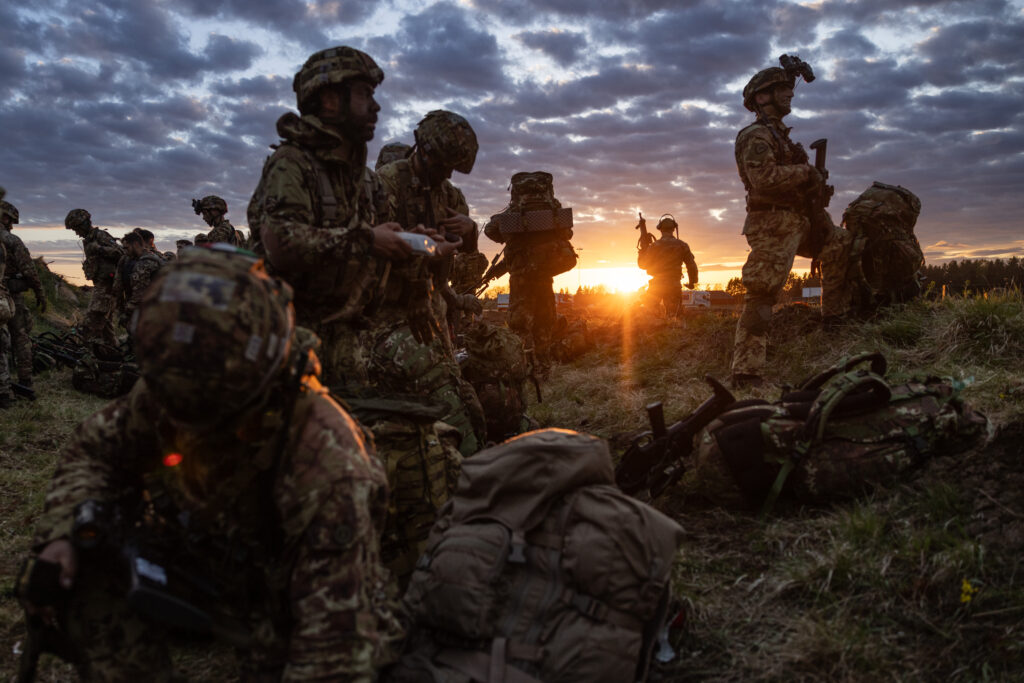 nato artico 