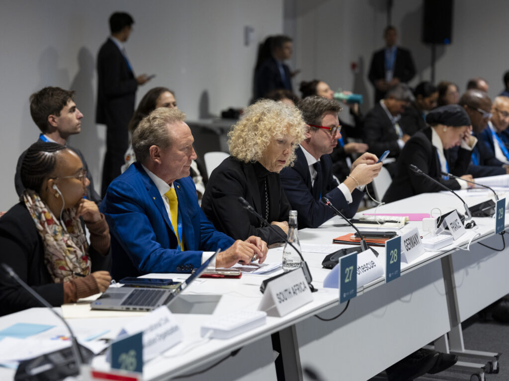 cop 29 roundtable