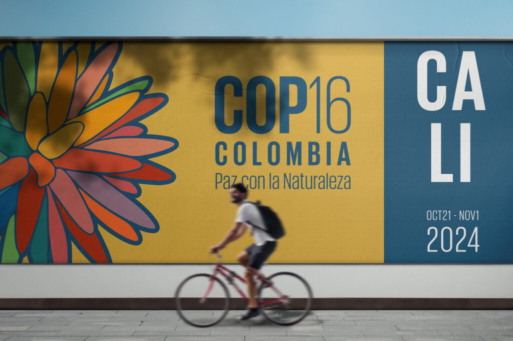 cop16