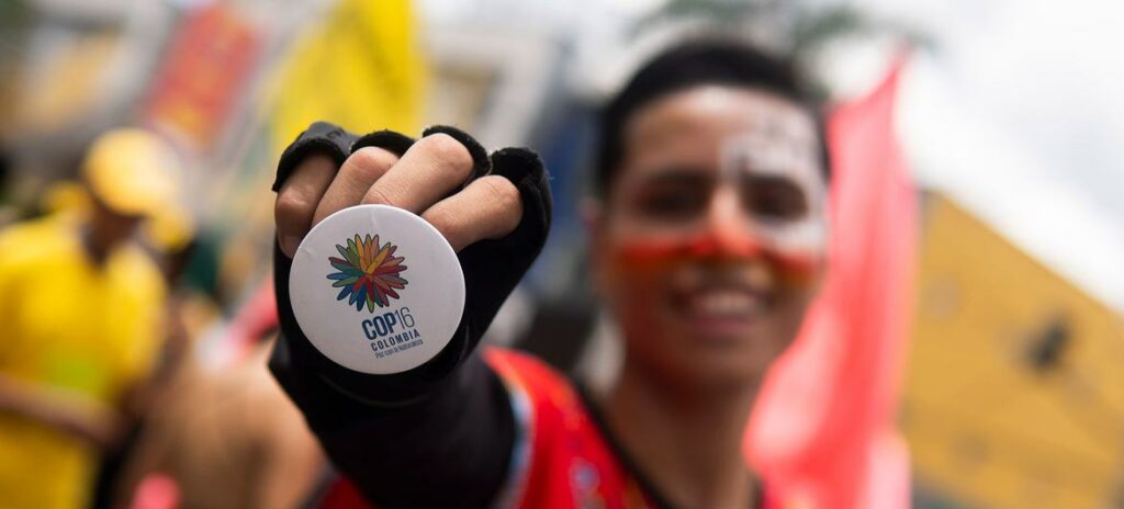 cop16