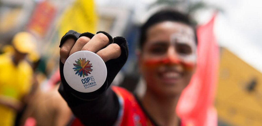 cop16