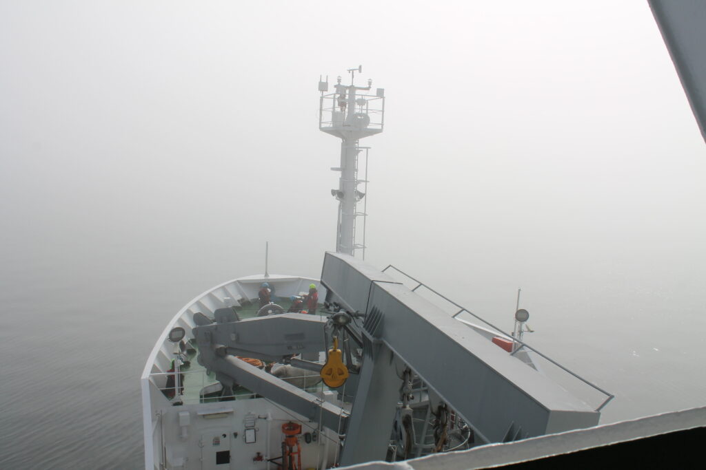 nave alliance