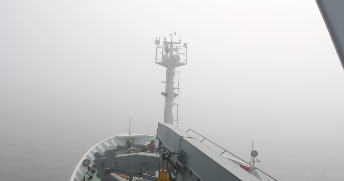 nave alliance