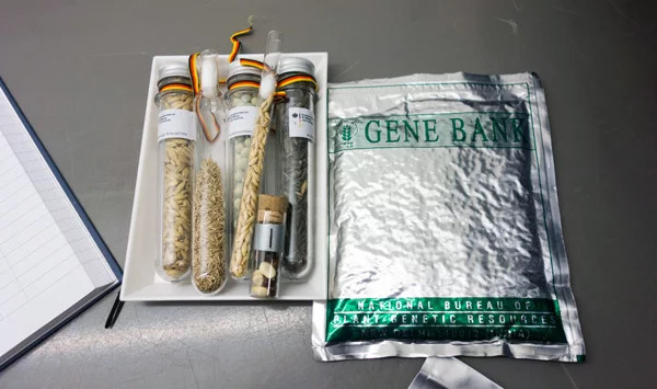 svalbard-global-seed-vault-1