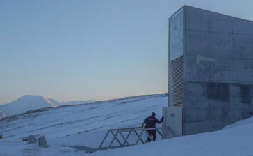 svalbard-global-seed-vault