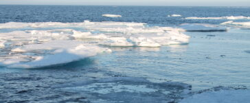 ghiaccio marino artico