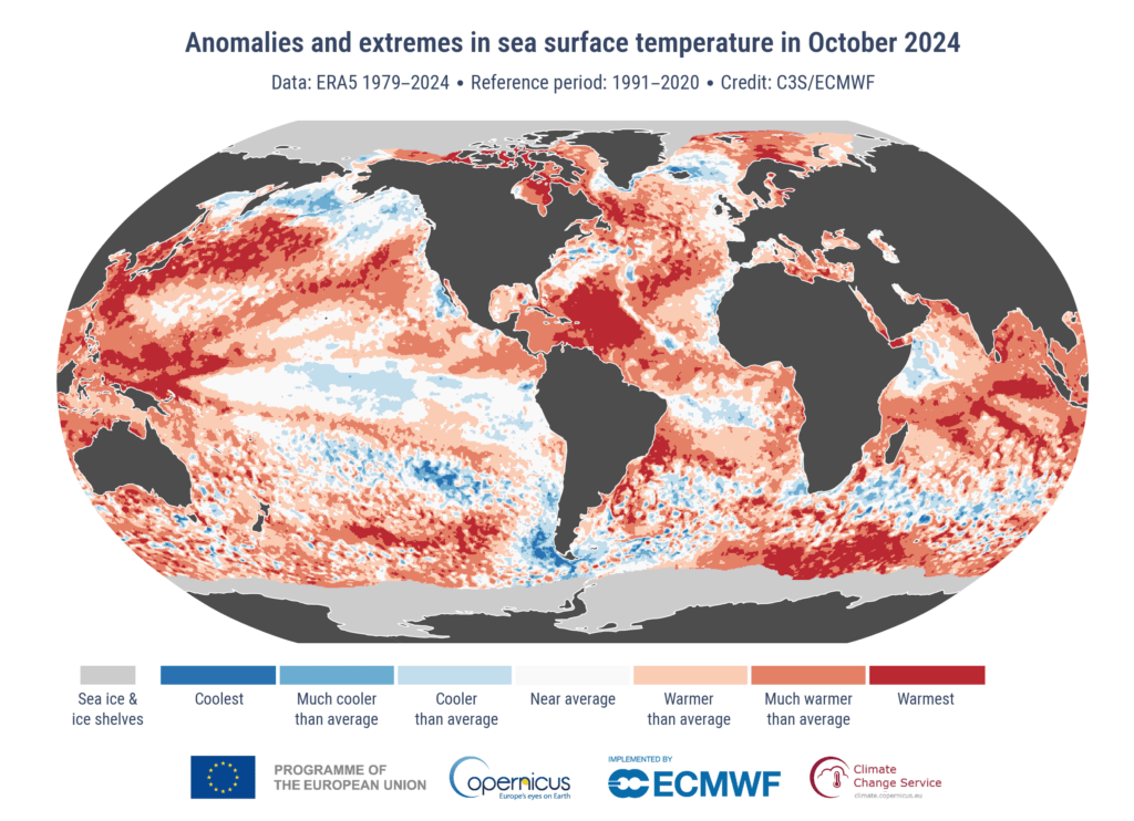 anomalia temperatura 2024