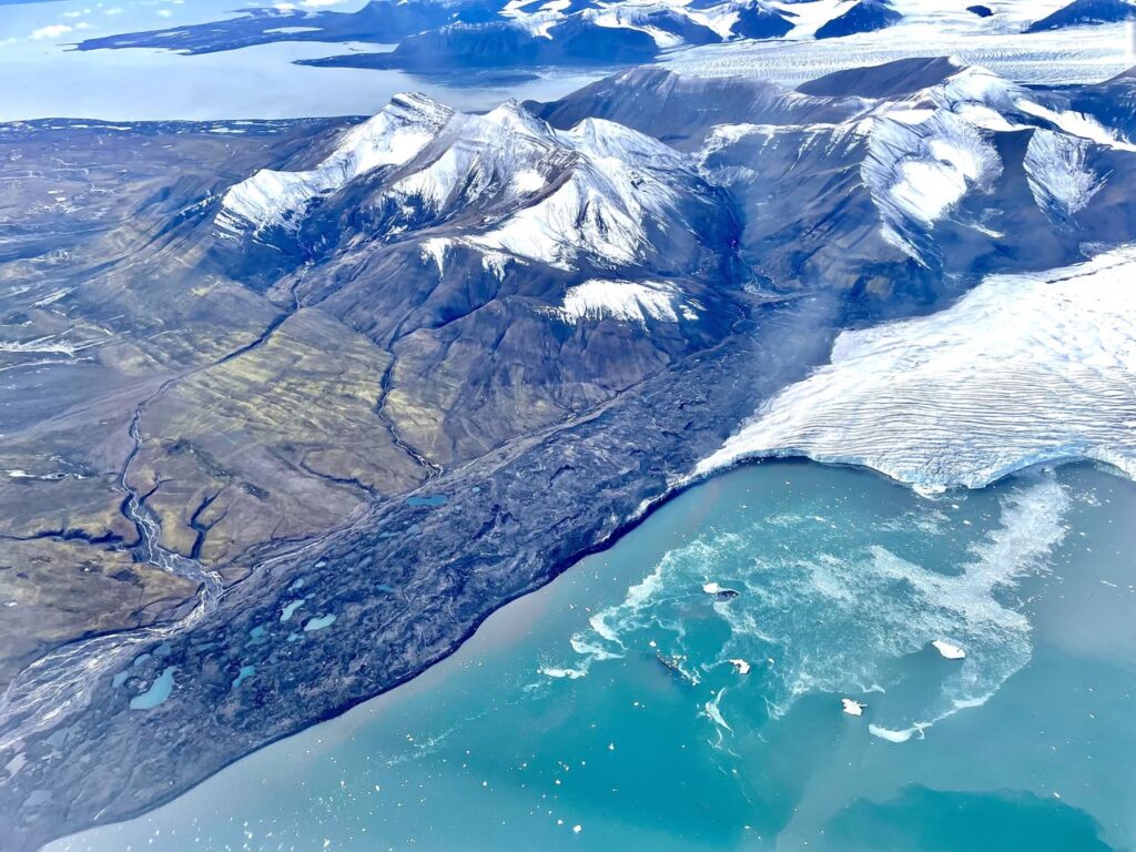 tundra artica