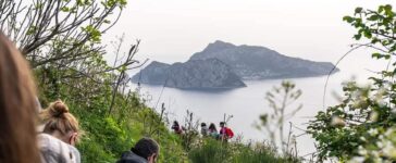 city nature challenge 2025