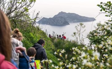 city nature challenge 2025