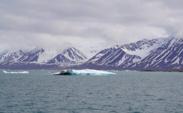 Iceberg Ny-Ålesund