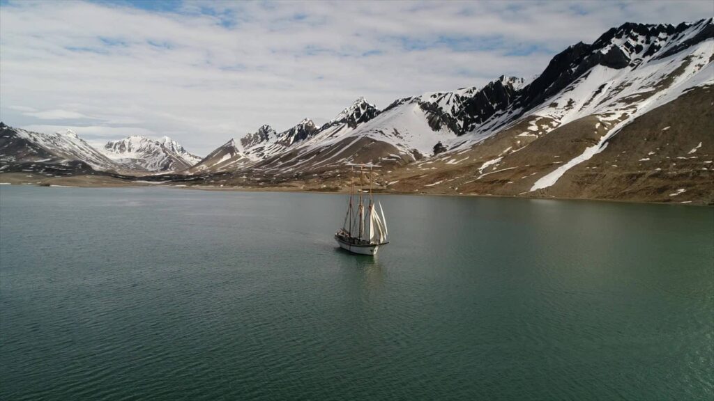linden svalbard