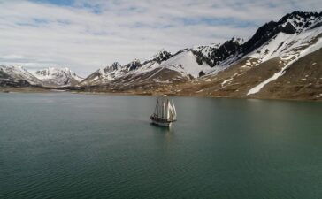 linden svalbard