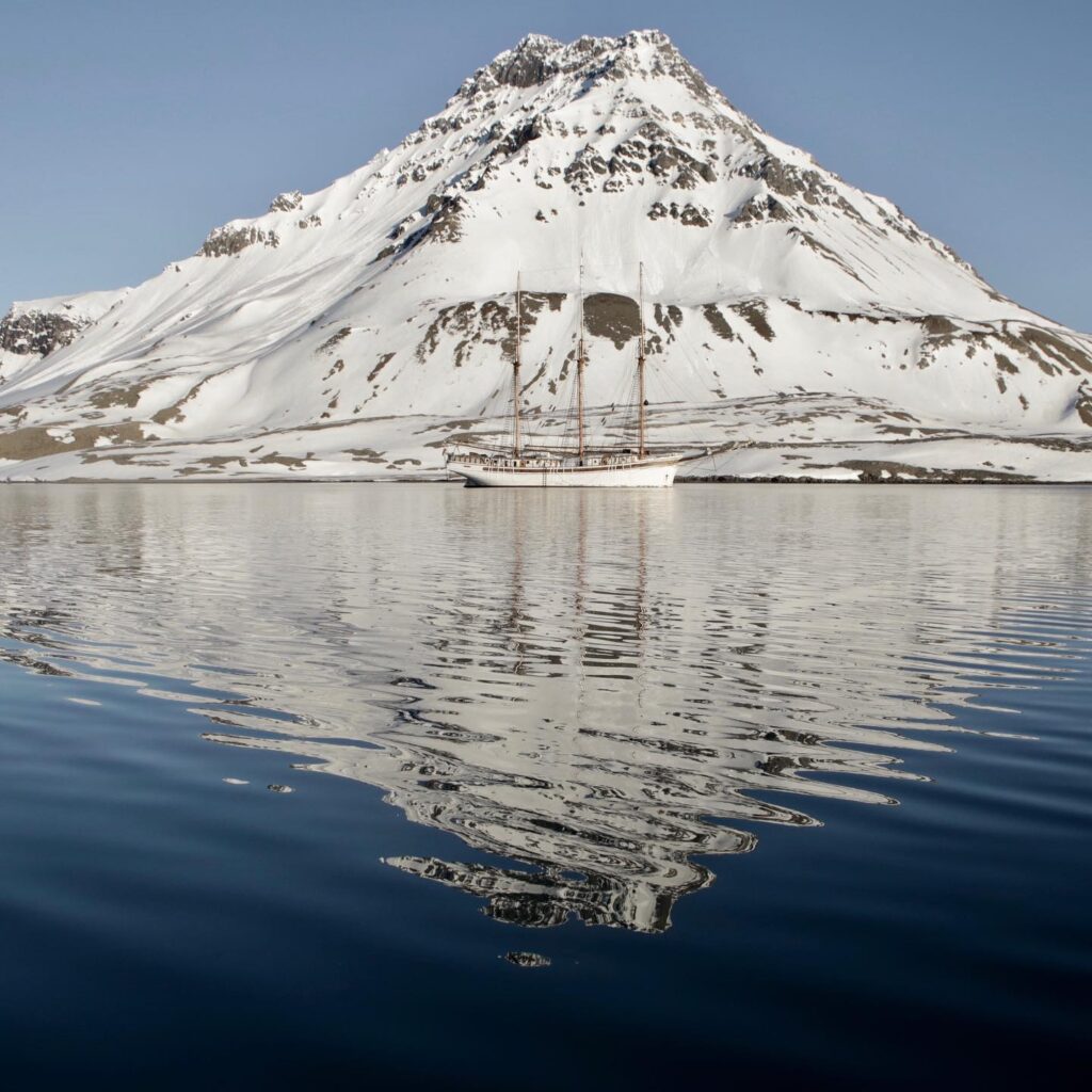 linden svalbard
