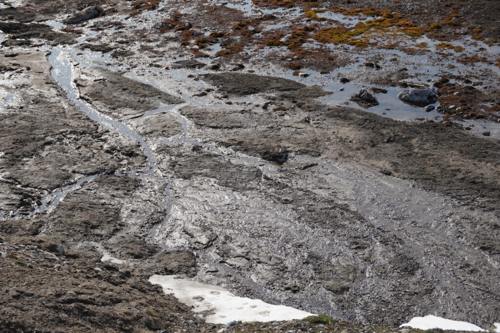 permafrost